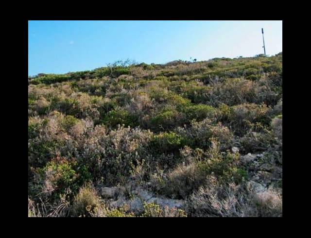 LAND FOR SALE IN DANA BAY